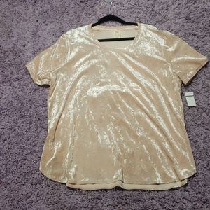 Plus Velvet Pink shirt